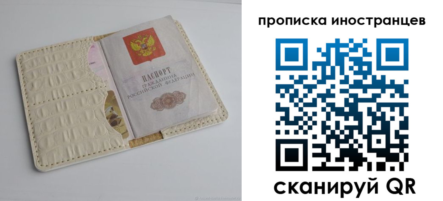 найти адрес прописки в Щиграх